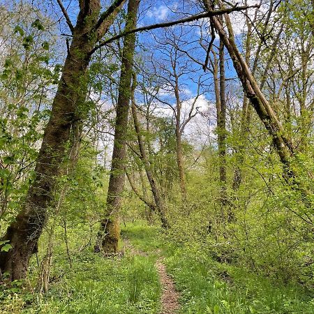 Willa Cosy Woodland Off Grid Shepherds Hut - Rowan Castle Douglas Zewnętrze zdjęcie