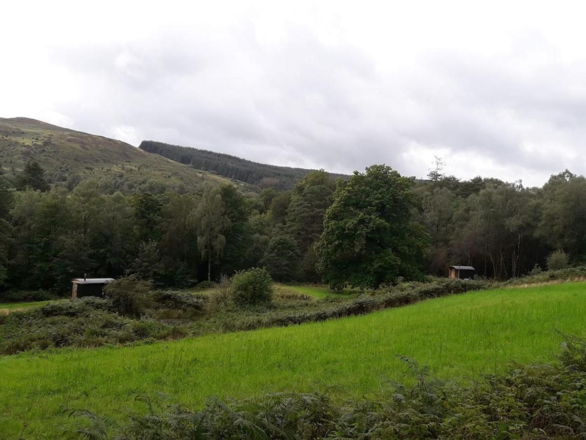 Willa Cosy Woodland Off Grid Shepherds Hut - Rowan Castle Douglas Zewnętrze zdjęcie