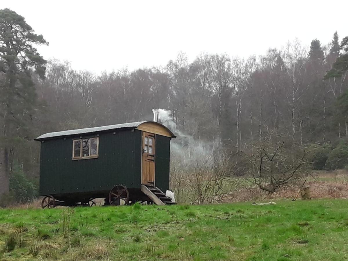 Willa Cosy Woodland Off Grid Shepherds Hut - Rowan Castle Douglas Zewnętrze zdjęcie