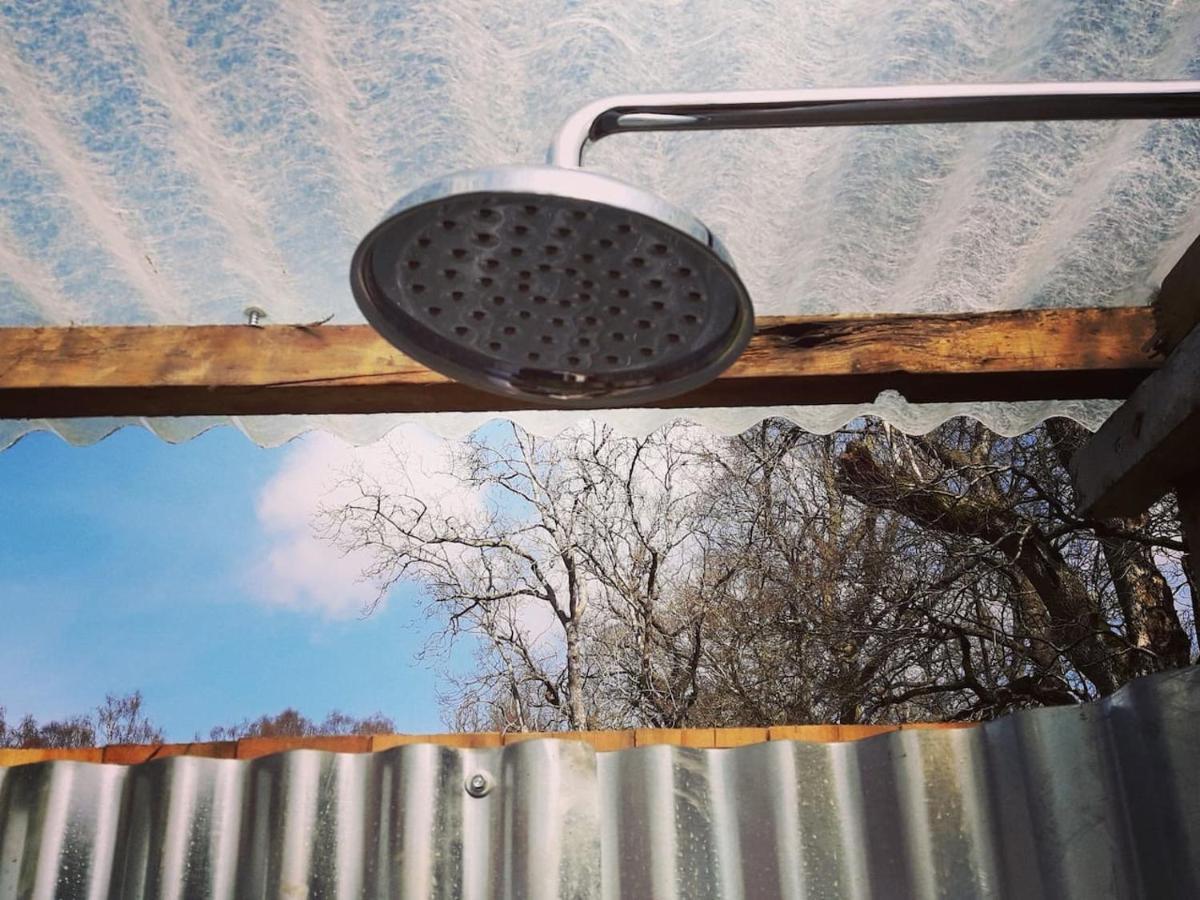 Willa Cosy Woodland Off Grid Shepherds Hut - Rowan Castle Douglas Zewnętrze zdjęcie