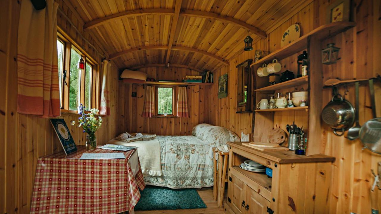 Willa Cosy Woodland Off Grid Shepherds Hut - Rowan Castle Douglas Zewnętrze zdjęcie