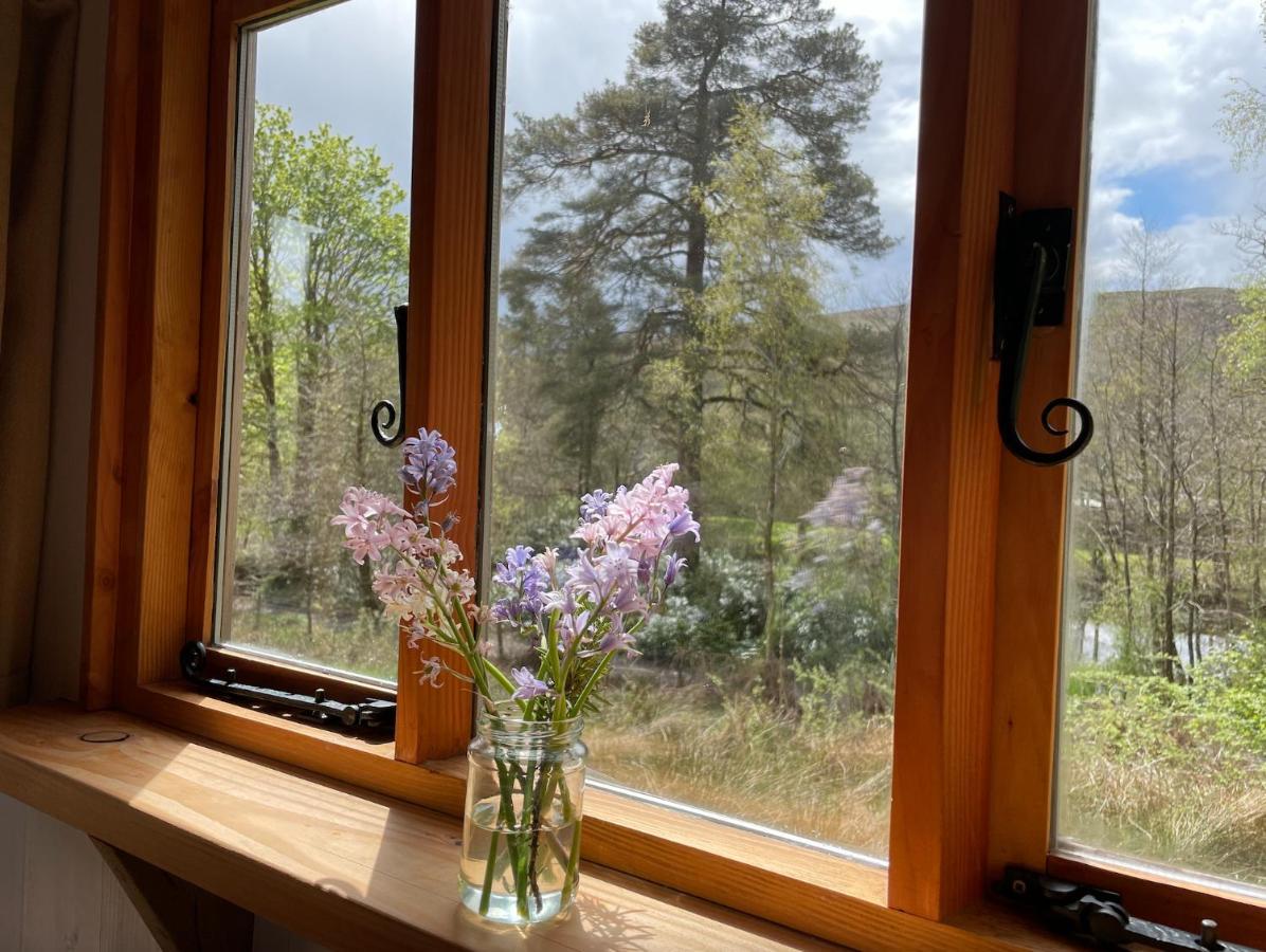Willa Cosy Woodland Off Grid Shepherds Hut - Rowan Castle Douglas Zewnętrze zdjęcie