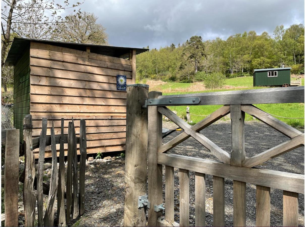Willa Cosy Woodland Off Grid Shepherds Hut - Rowan Castle Douglas Zewnętrze zdjęcie