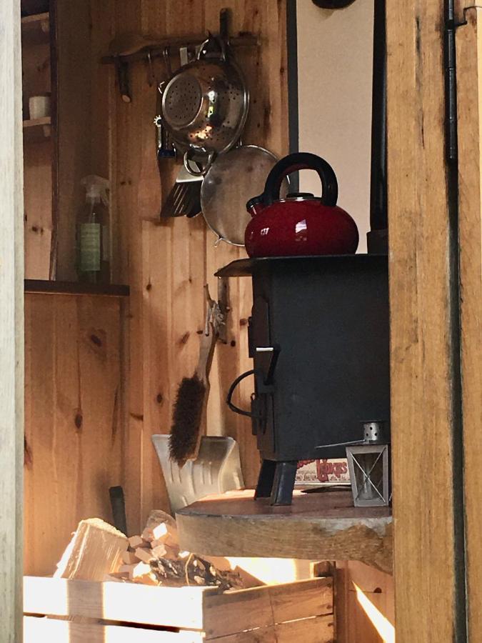 Willa Cosy Woodland Off Grid Shepherds Hut - Rowan Castle Douglas Zewnętrze zdjęcie